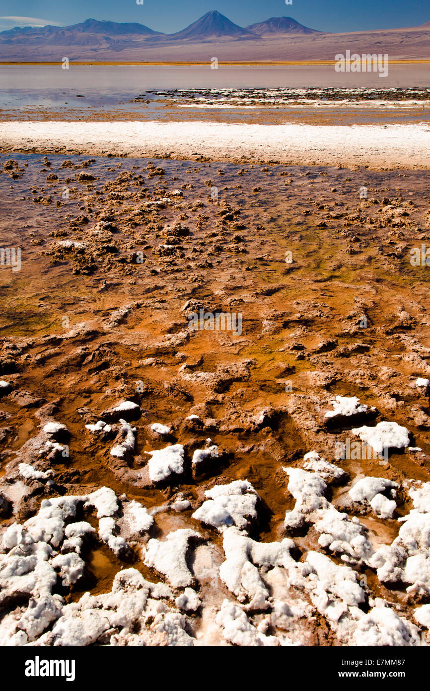 Chile, El Norte Grande, Region de Antofagasta, Salar de Atacama, Laguna Tebinquinche in daytime Stock Photo