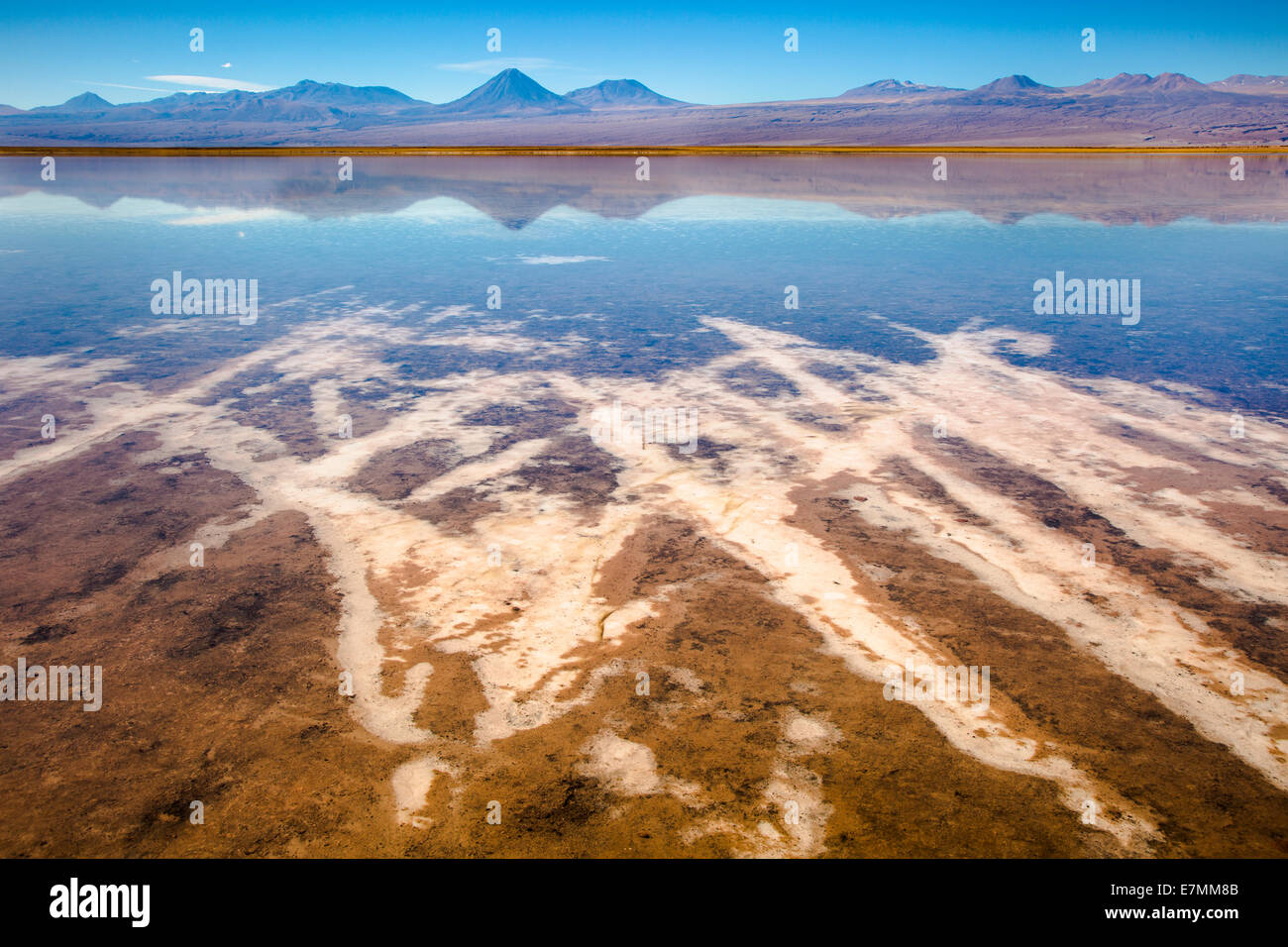 Chile, El Norte Grande, Region de Antofagasta, Salar de Atacama, Laguna Tebinquinche in daytime Stock Photo