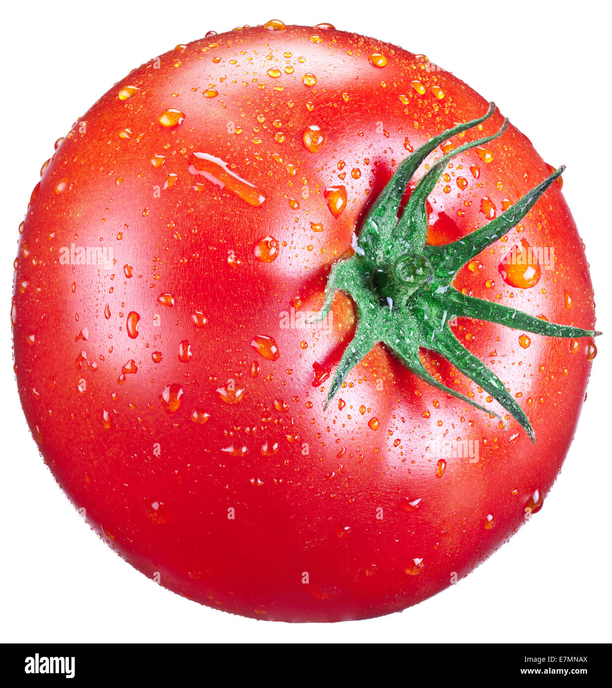 Tomato with water drops. Isolated on a white background Stock Photo - Alamy