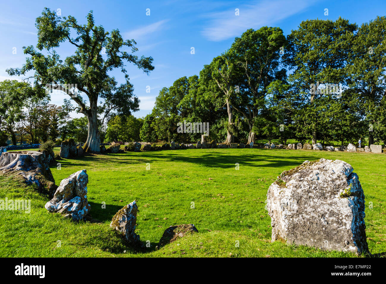 The Grange Stone Circle, Lough Gur, County Limerick, Republic of Ireland - the largest standing stone circle in Ireland Stock Photo