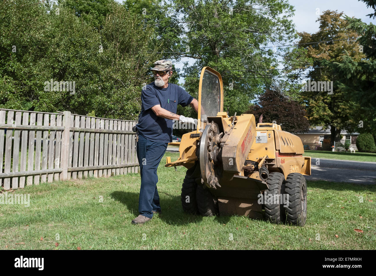 A man using a Rayco model Super RG50 4X4 Stump Grinder to remove a tree stump in Rhode Island USA Stock Photo