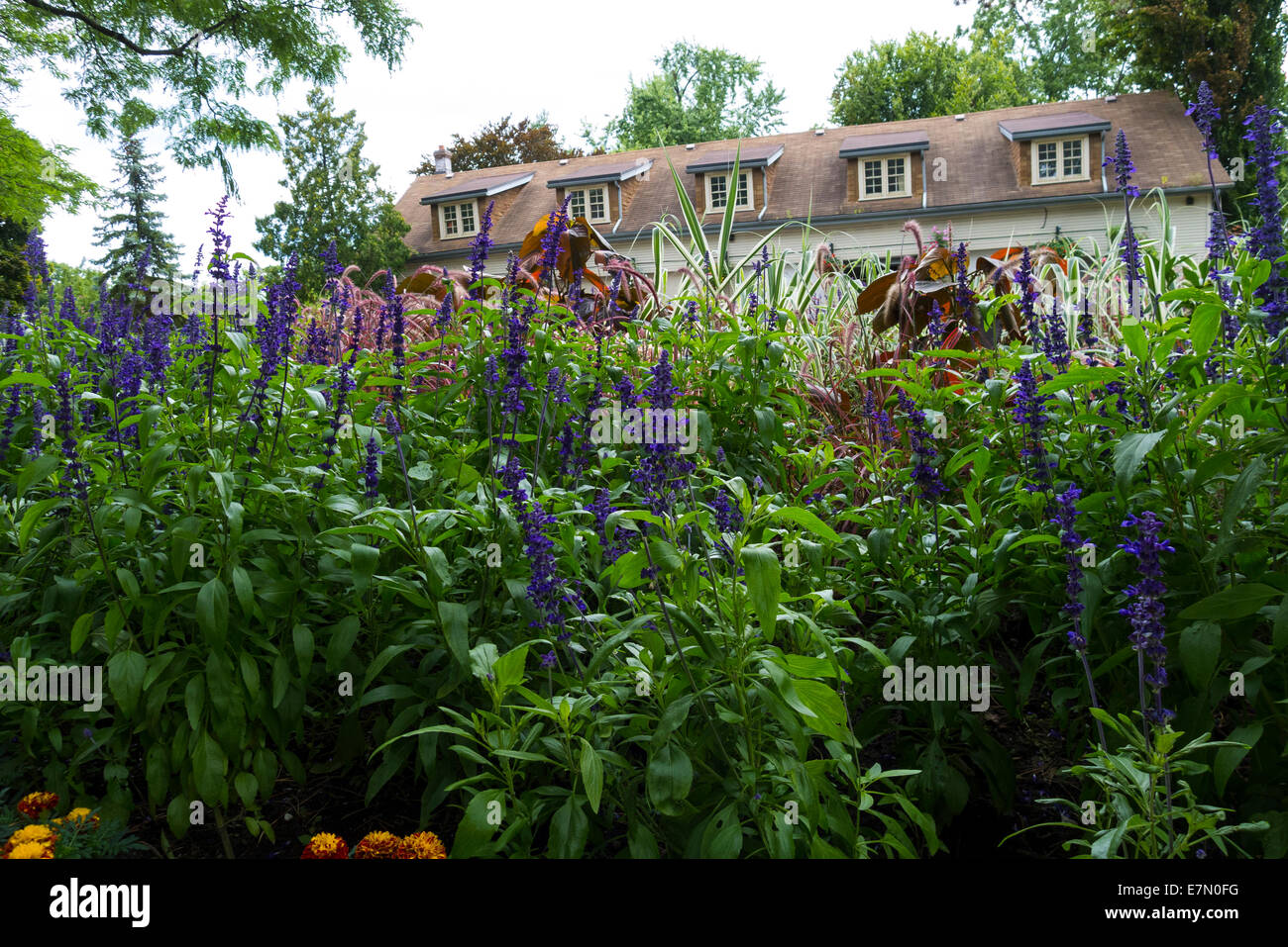 A view of the historic buildings in Edwards Gardens, a public park in Toronto Ontario Canada Stock Photo