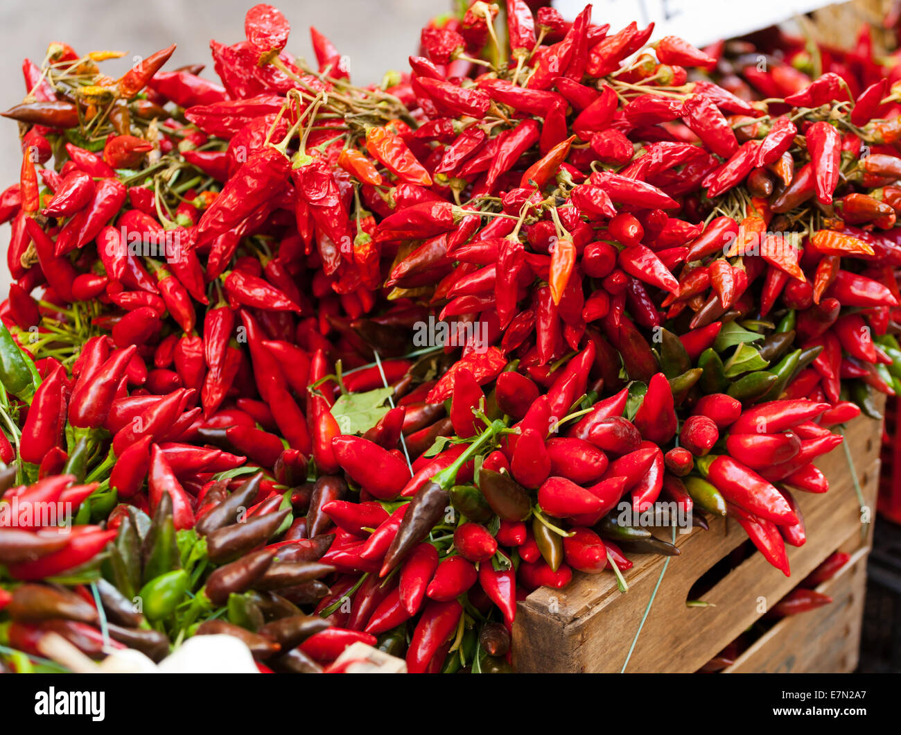 Big bunch of red hot chili pepper at outdoors market Stock Photo - Alamy