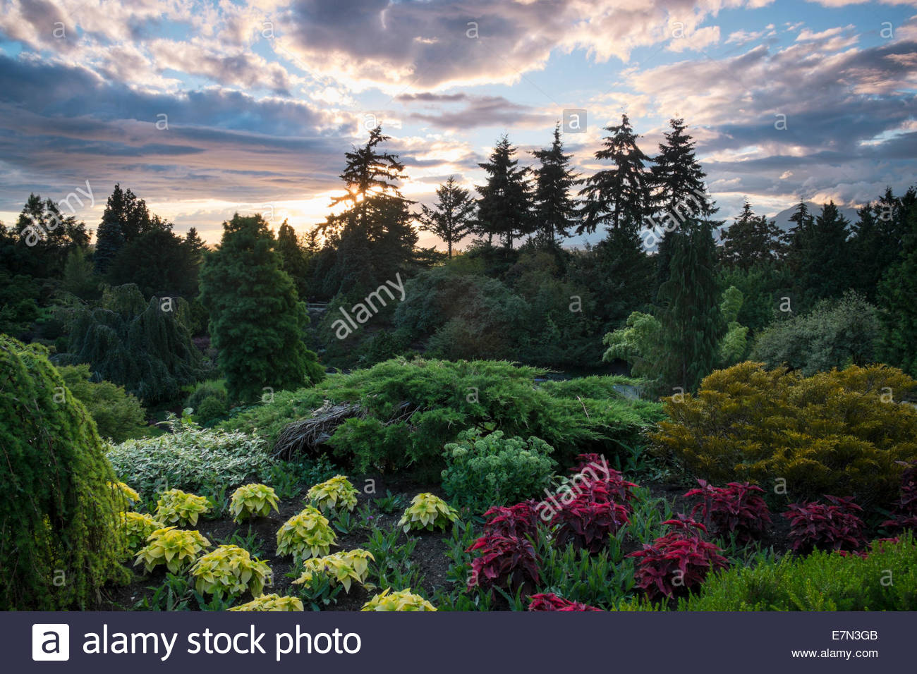 Elizabeth Park High Resolution Stock Photography and Images Alamy