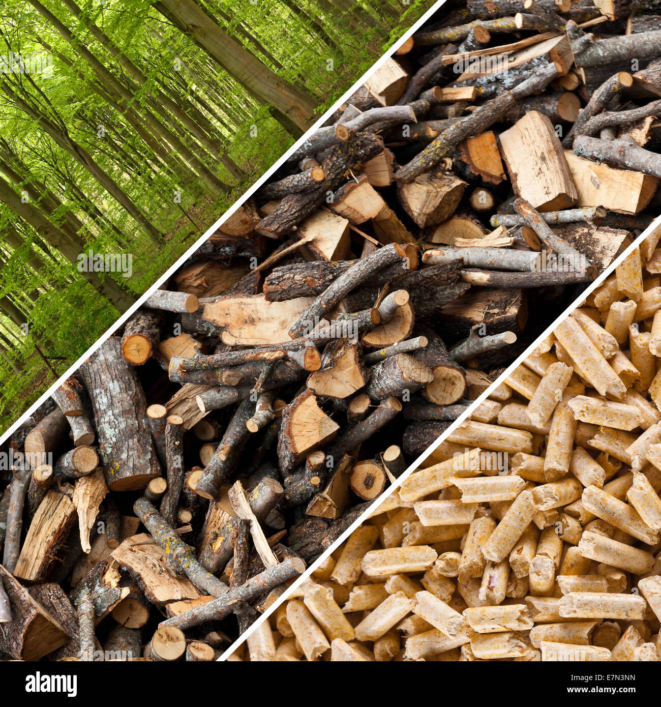 Steps of industrial production for wooden pellets. Stock Photo