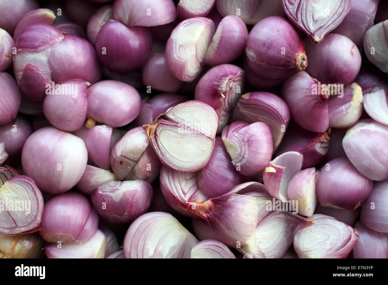 Bunch of shallots stock photo. Image of plant, shallot - 31223948