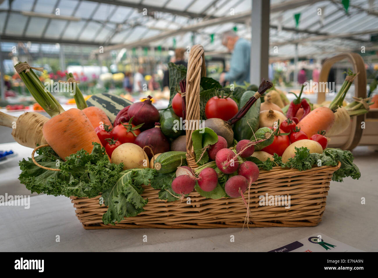 Harvest Stock Photo