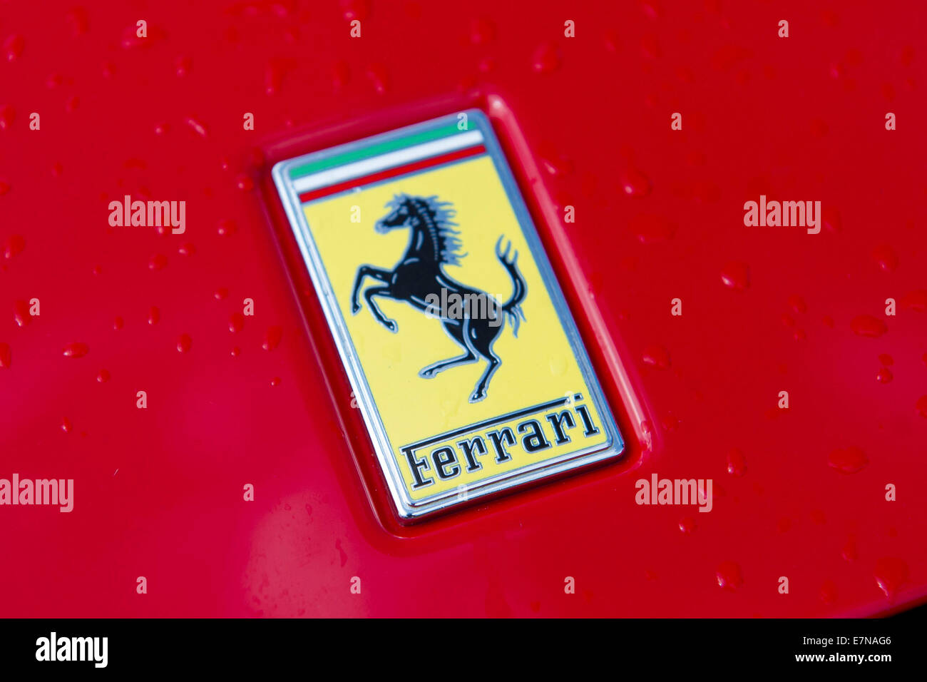 A Ferrari car badge. Stock Photo