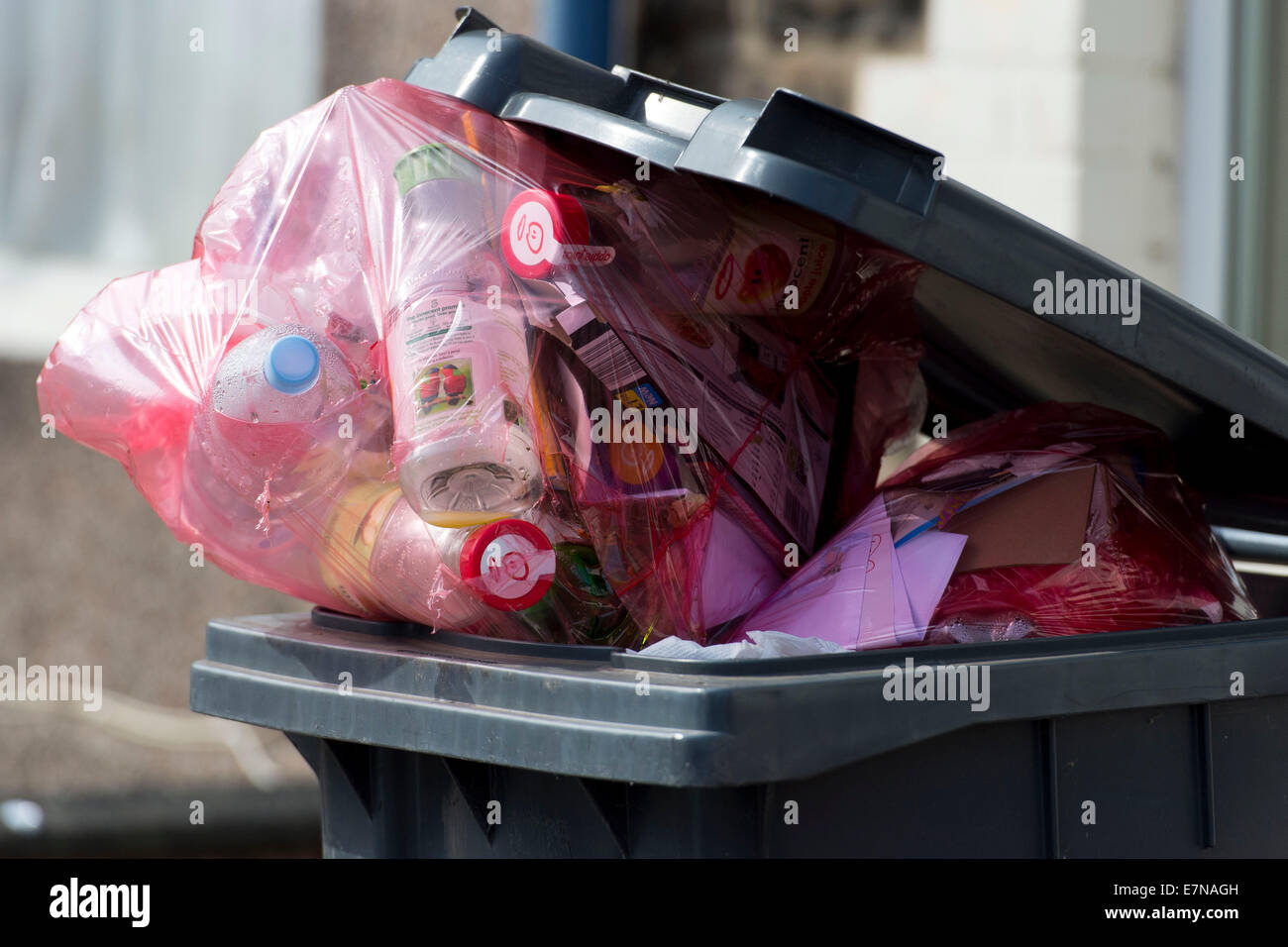 Green bin hi-res stock photography and images - Alamy