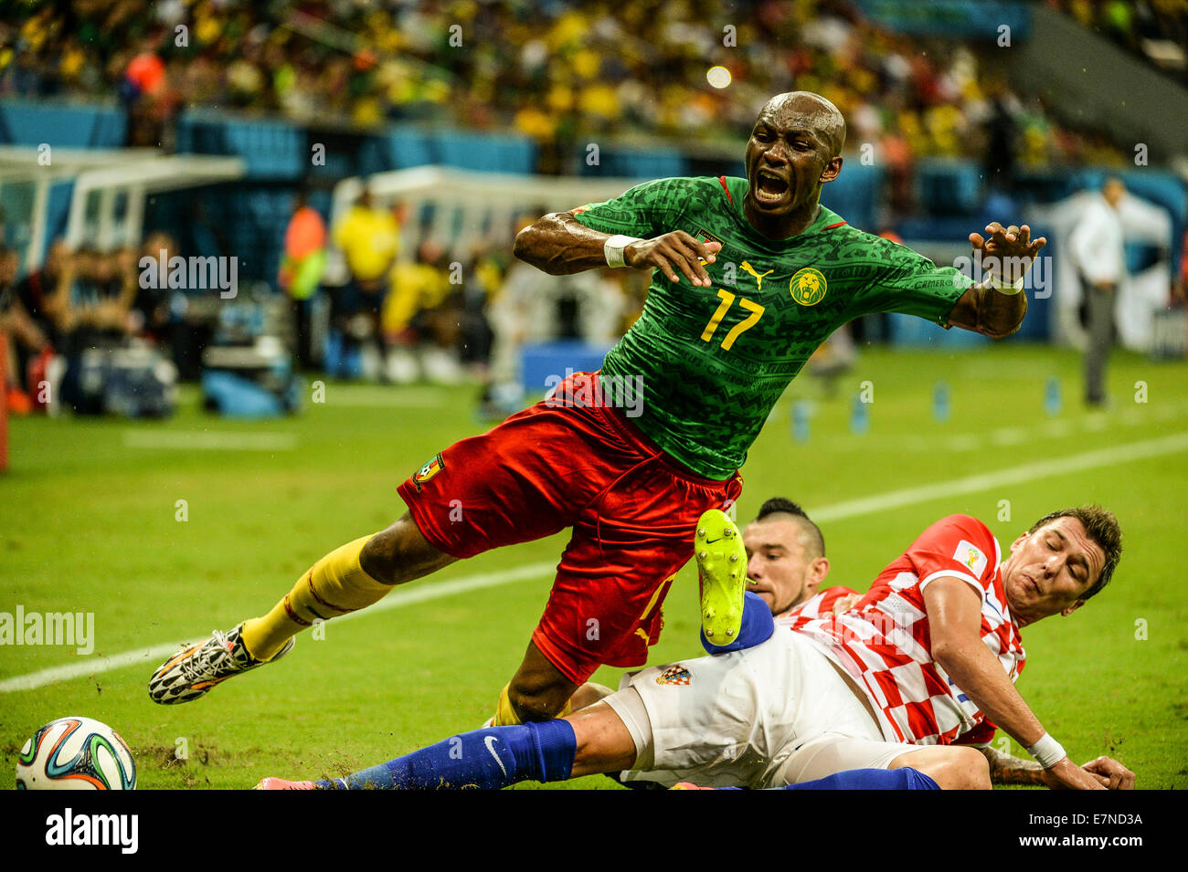 Stephane Mbia. Croatia v Cameroon. Group match. FIFA World Cup 2014 Brazil. Arena Amazonia, Manaus. 18 Jun 2014. Stock Photo