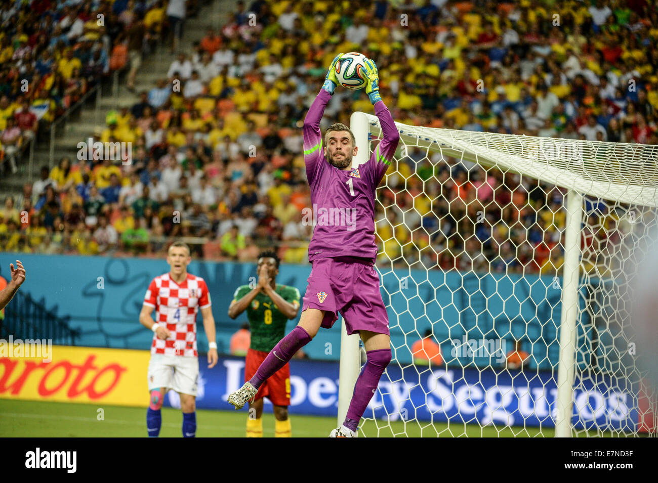 Stipe Pletikosa. Croatia v Cameroon. Group match. FIFA World Cup 2014 Brazil. Arena Amazonia, Manaus. 18 Jun 2014. Stock Photo