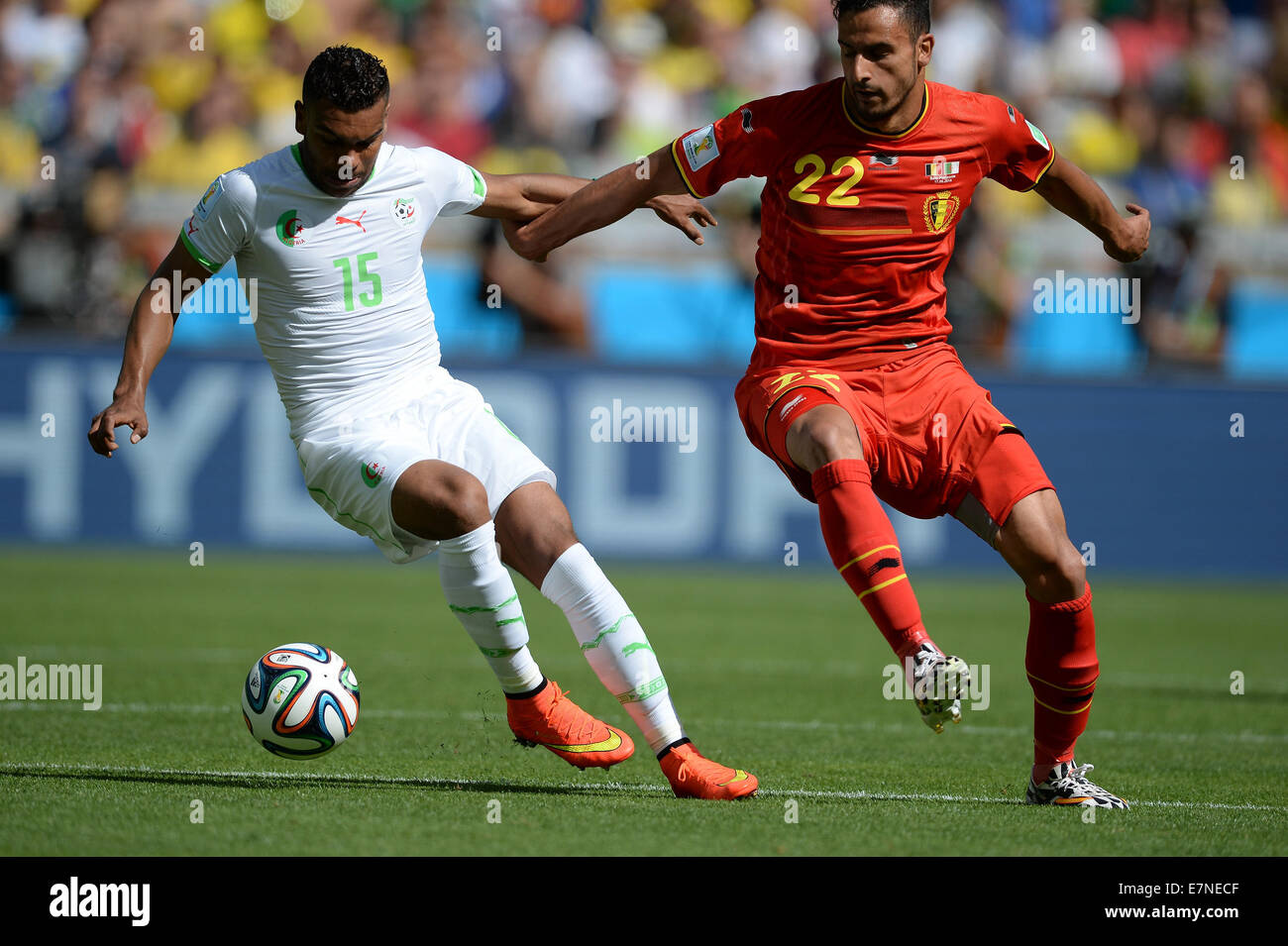 El Arabi SOUDANI and Nacer CHADLI. Belgium v Algeria, group match. FIFA World Cup 2014 Brazil. Mineirao stadium Belo Horizonte. Stock Photo