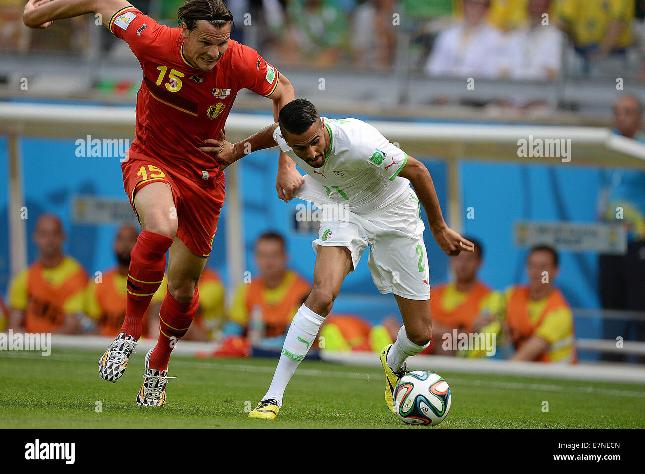 Daniel VAN BUYTEN. Belgium v Algeria, group match. FIFA World Cup 2014 Brazil. Mineirao stadium Belo Horizonte. 17 June 2014. Stock Photo
