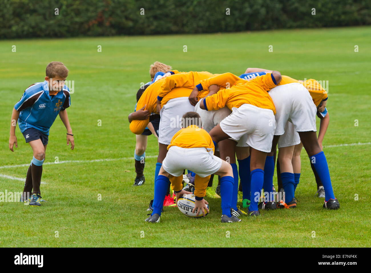 school children playing rugby in the United Kimgdom Stock Photo Alamy