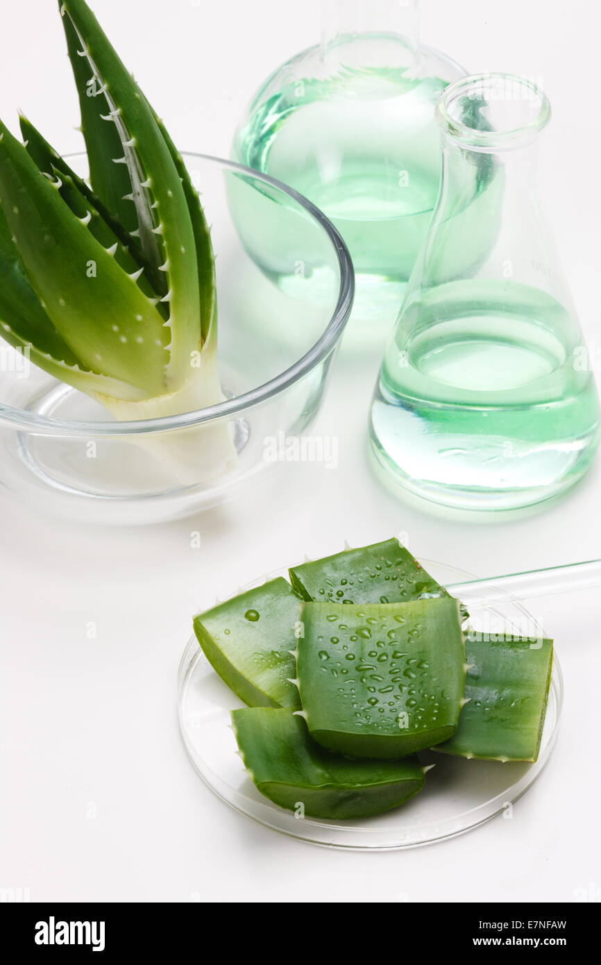 Experiment aloe hi-res stock photography and images - Alamy