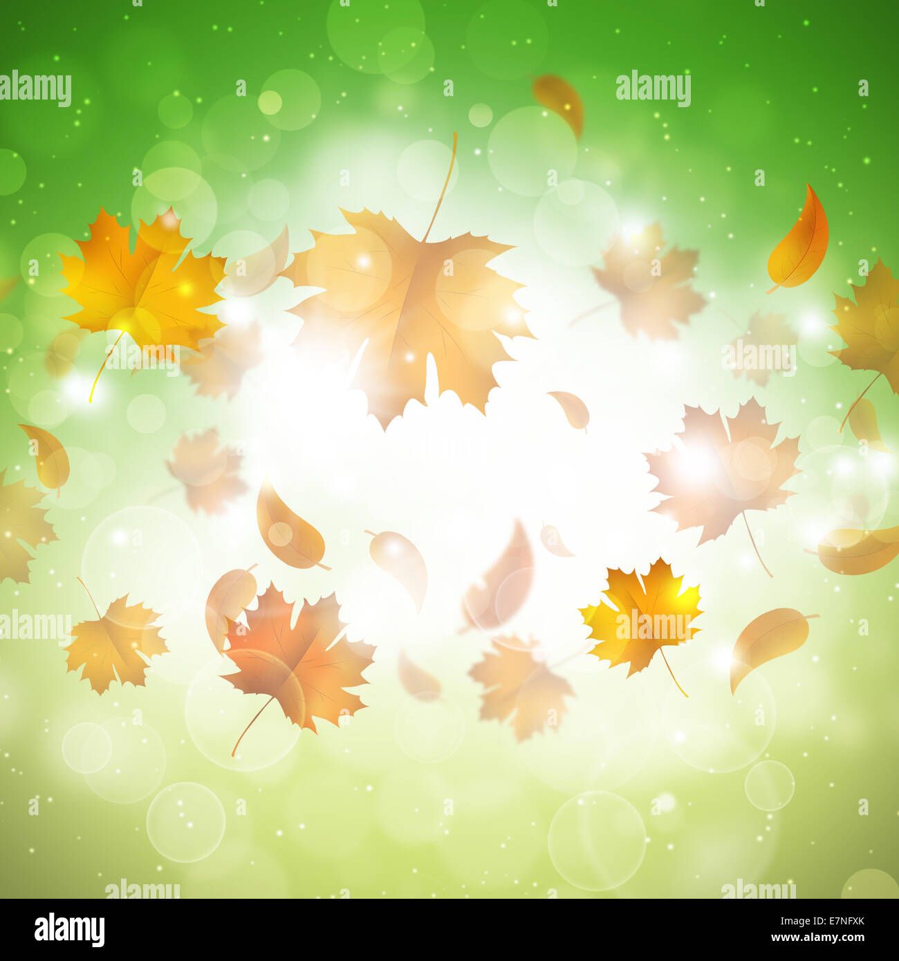 sunny golden autumn background with leaves and blurry lights Stock ...