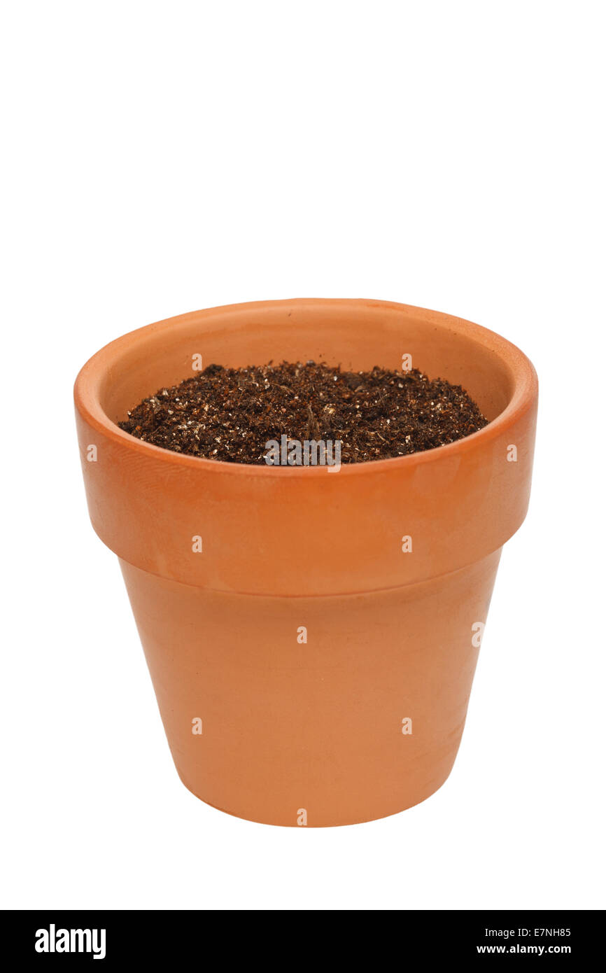 Flowerpots Stock Photo