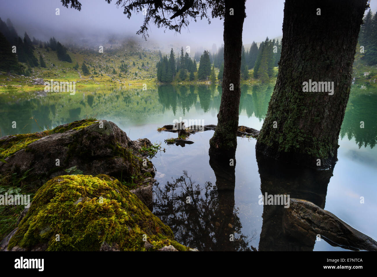 Gantrischseeli, lake, Switzerland, Europe, canton Bern, Bernese Oberland, Gantrisch area, nature reserve, Gantrisch, fog Stock Photo