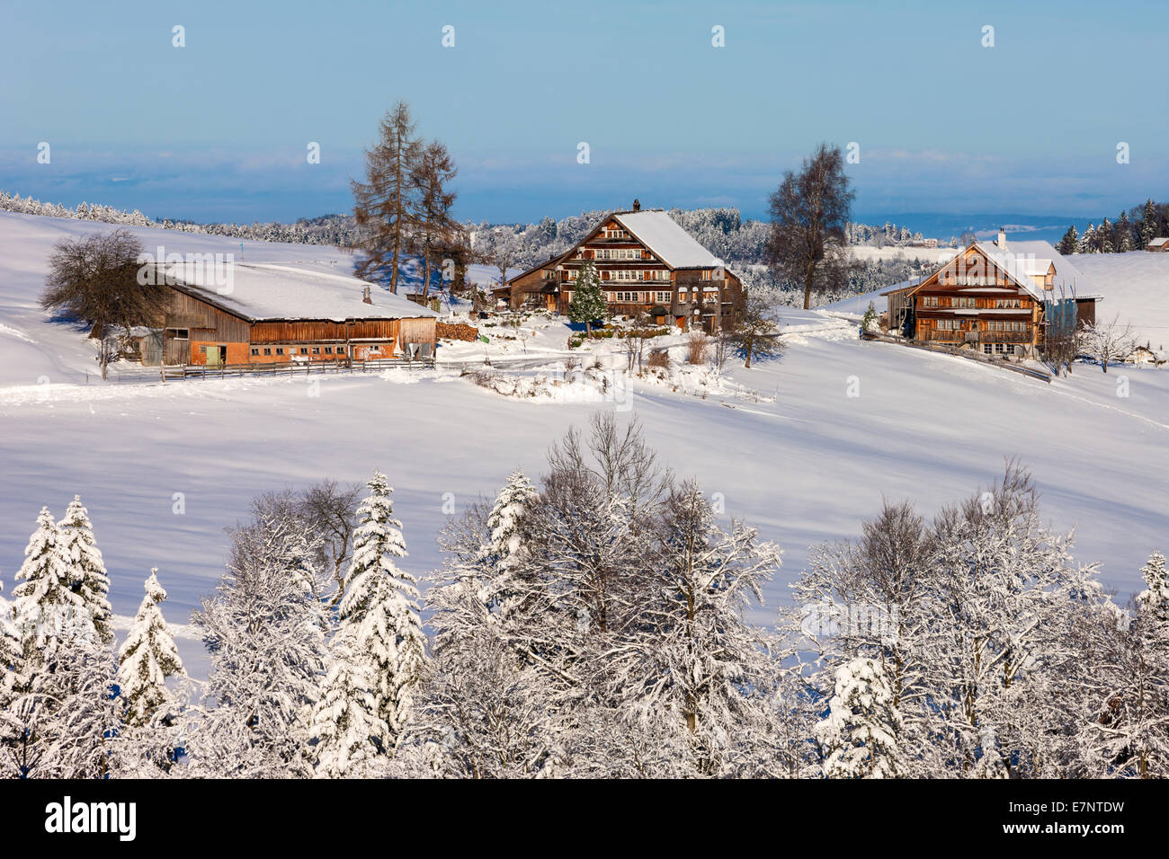 Hemberg, Switzerland, Europe, canton St. Gallen, Toggenburg, farmhouses, winters Stock Photo