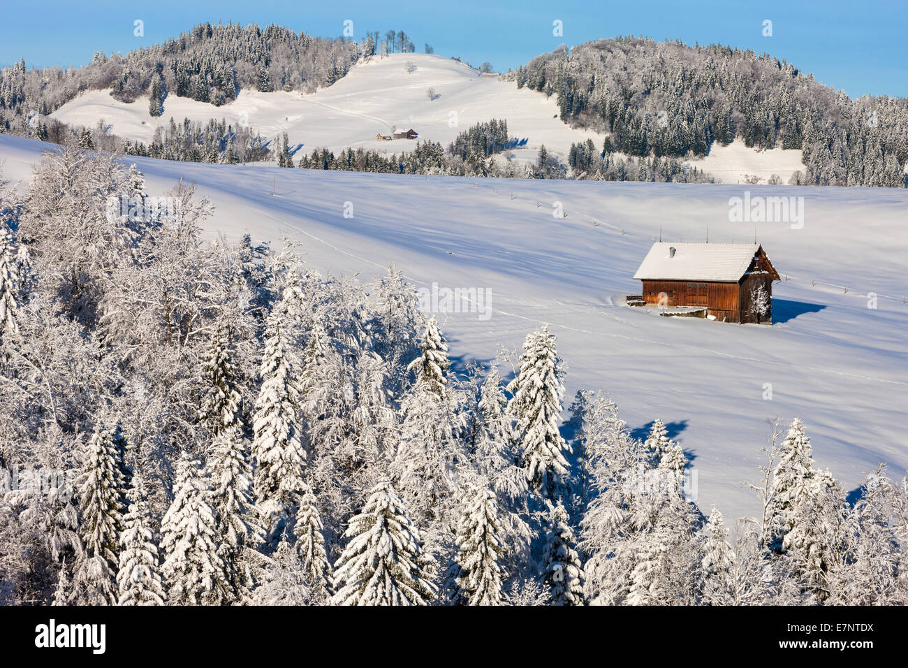 Hemberg, Switzerland, Europe, canton St. Gallen, Toggenburg, barn, winter Stock Photo