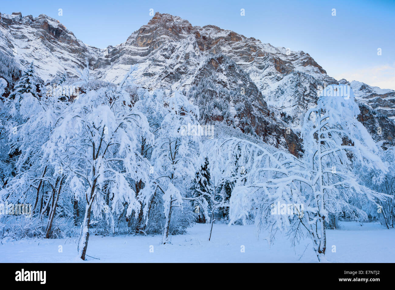Klöntal, Switzerland, Europe, canton Glarus, mountains, trees, snow, winter Stock Photo