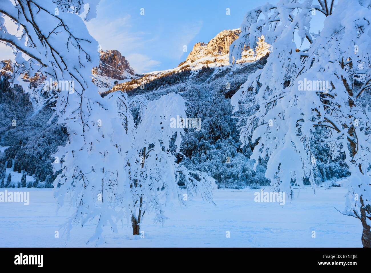 Klöntal, Switzerland, Europe, canton Glarus, mountains, trees, snow, winter, evening light Stock Photo