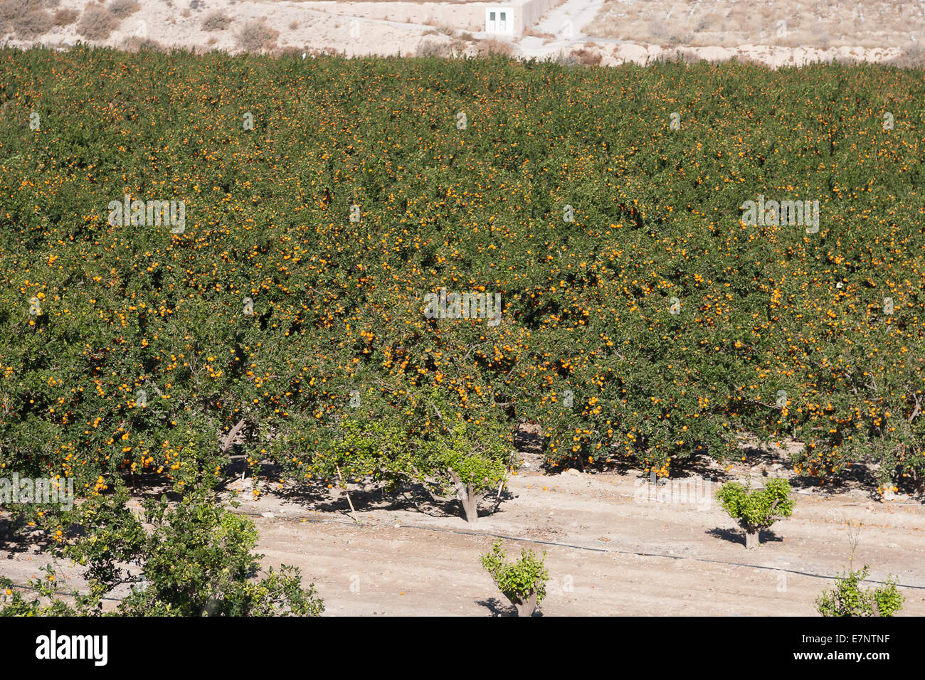 Spanish landscape Stock Photo