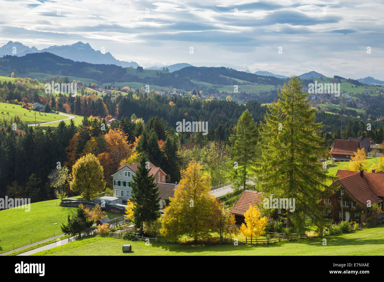 Wood, Forest, Rehetobel, Heiden, look, Scheidweg, mountain, mountains, autumn, canton, Appenzell, Ausserrhoden, Alpstein, Säntis Stock Photo