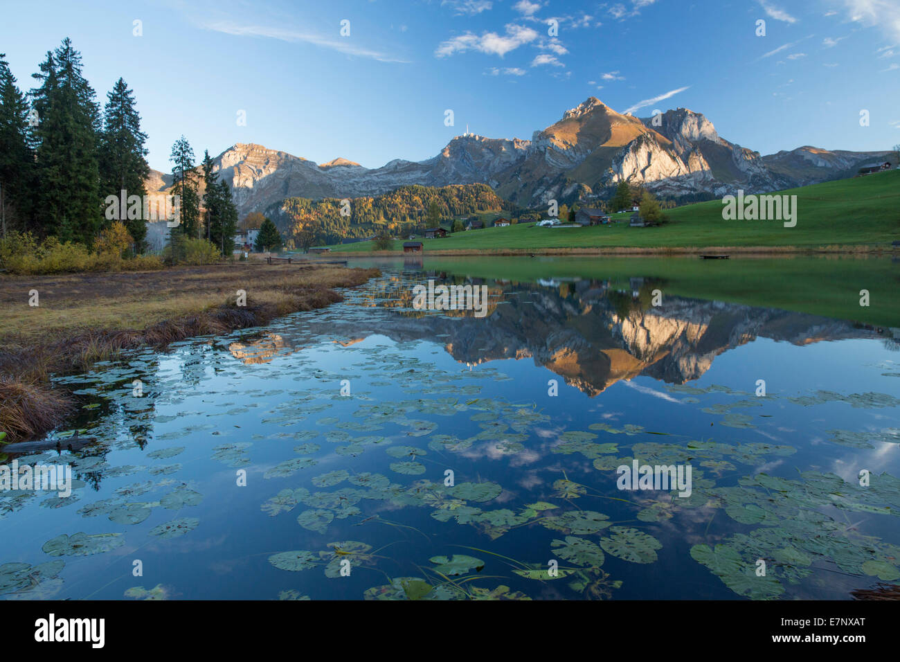 Alpstein, Schwendisee, lake, Wildhaus SG, mountain, mountains, mountain lake, SG, canton St. Gallen, Wildhauser Schafberg, autum Stock Photo