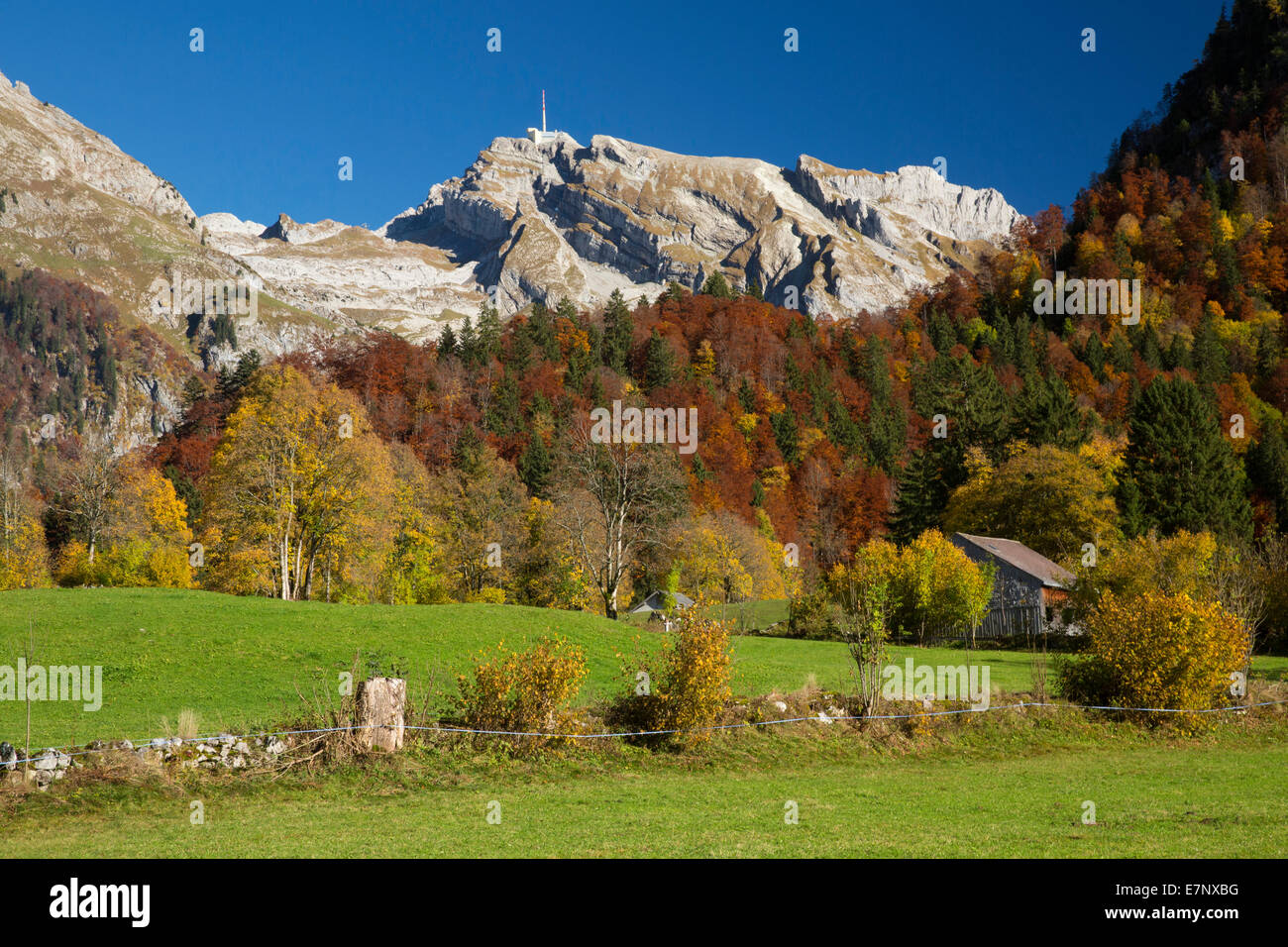 Toggenburg, Unterwasser, SG, Alpstein, Säntis, mountain, mountains, autumn, SG, canton St. Gallen, Toggenburg, Alpstein, Säntis, Stock Photo