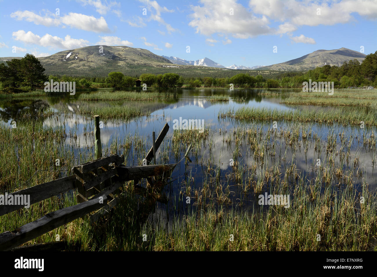 Lake, mountains, reflections, Holen, Folldal Kommune, Elgevosgho, Rondane National Park, Norway, Europe, Stock Photo