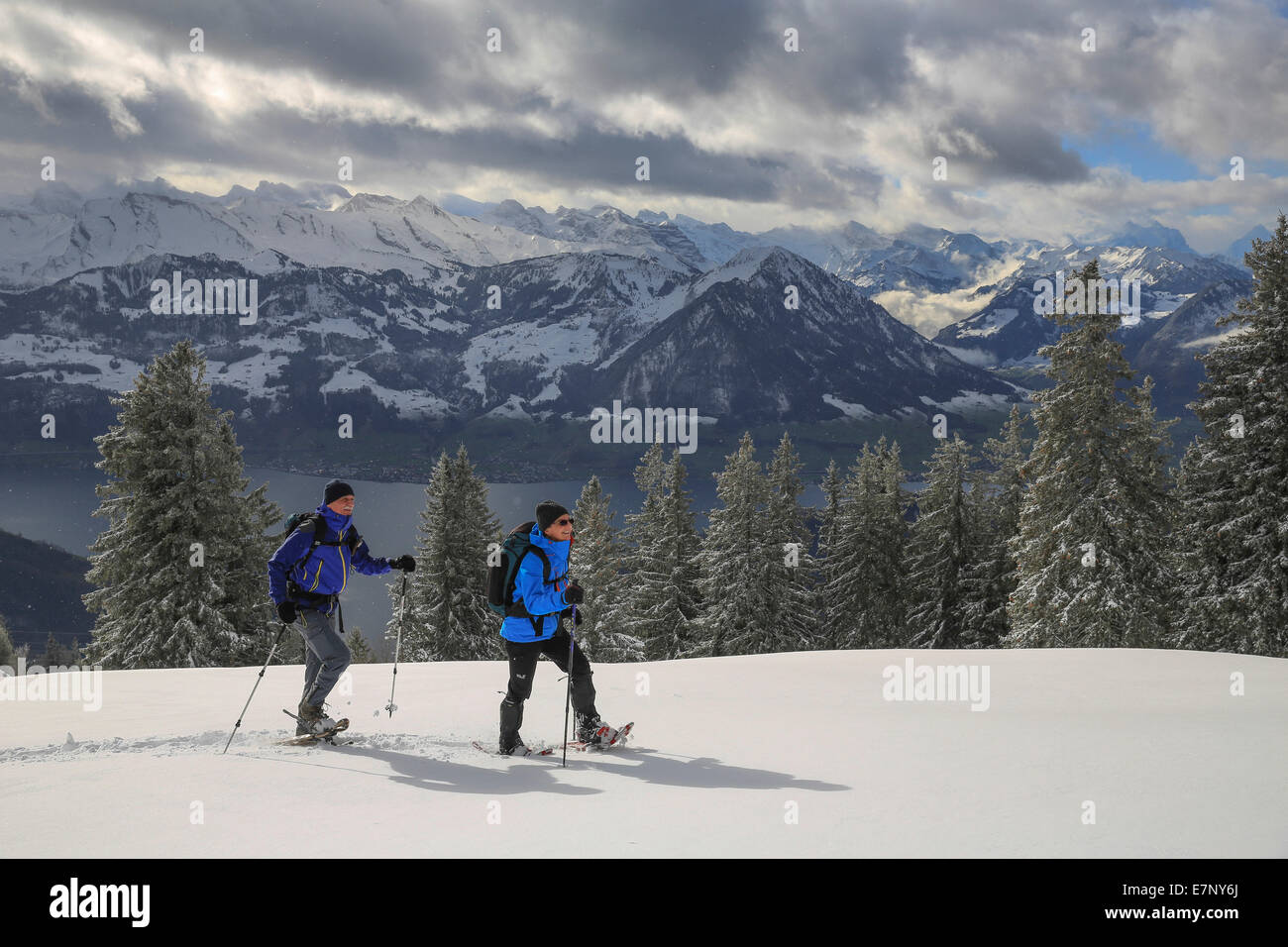 Snowy shoe running, Rigi, mountain, mountains, winters, winter sports, canton, LU, Lucerne, canton, SZ, Schwyz, central Switzerl Stock Photo