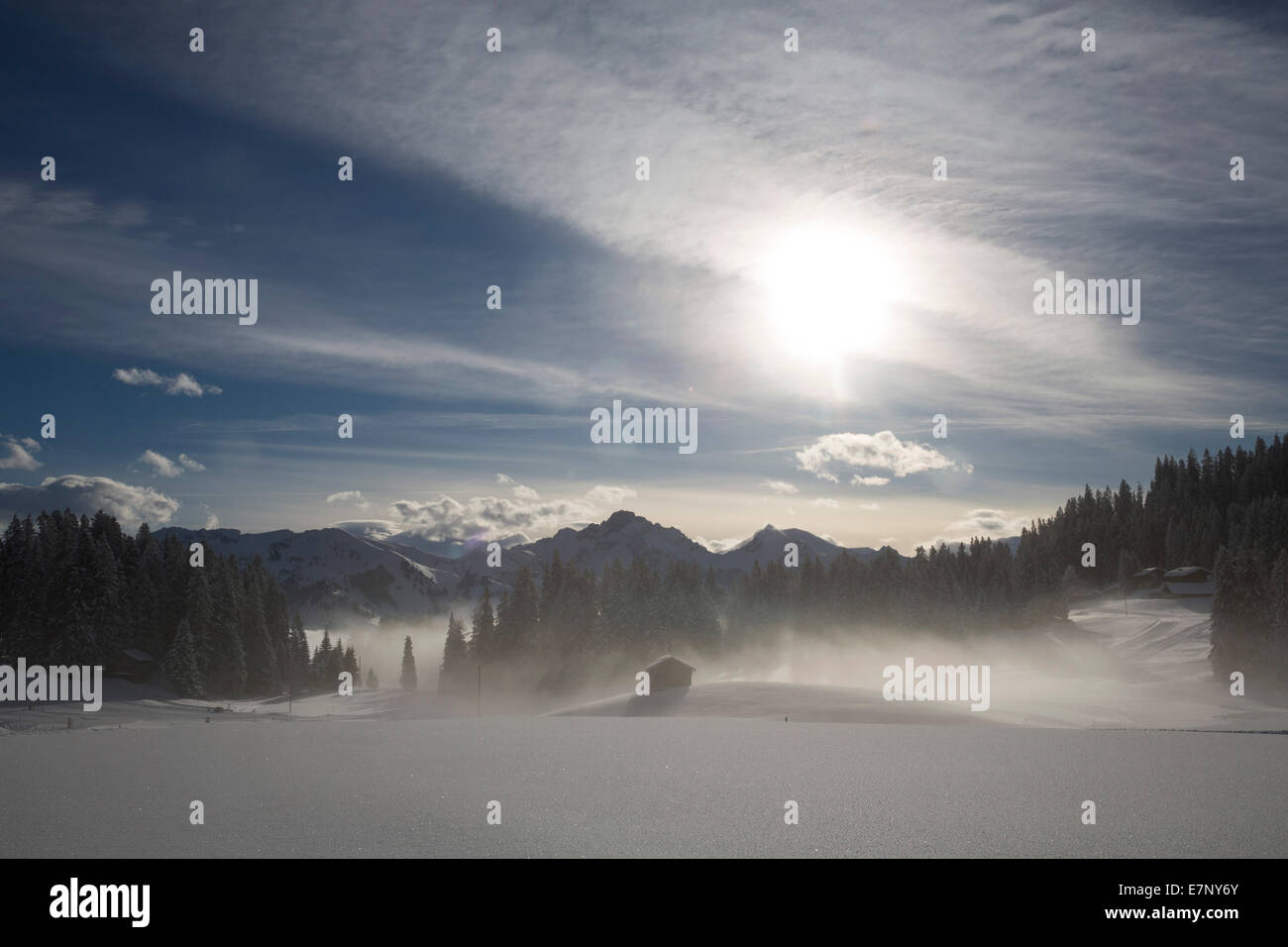 Simmental, look, Jaunpass, Simmental, mountain, mountains, winters, canton Bern, tree, trees, fogs, sea of fog, Switzerland, Eur Stock Photo