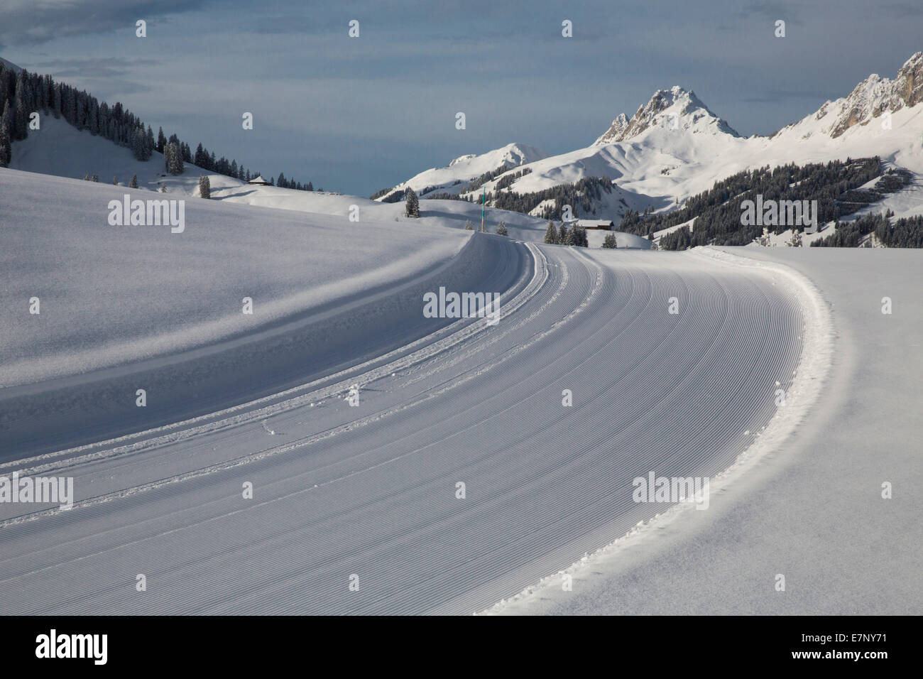 cross country ski track, Jaunpass, mountain, mountains, winters, canton Bern, tree, trees, cross-country skiing, cross-countr, t Stock Photo