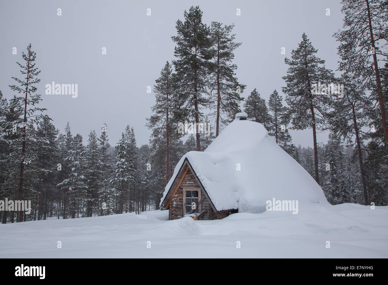 Trees, Europe, Finland, house, home, scenery, landscape, Lapland, snow, white, winter, Akäslompolo Stock Photo