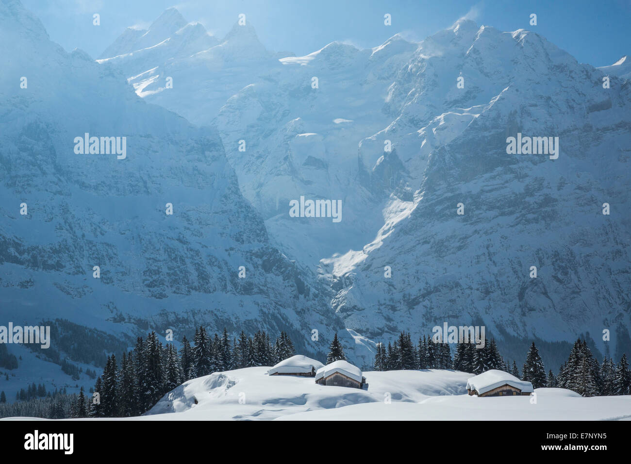 Ski, alpine cabin, Grindelwald, ridge, fright horn, mountain, mountains, ski, skiing, Carving, winter, winter sports, canton Ber Stock Photo