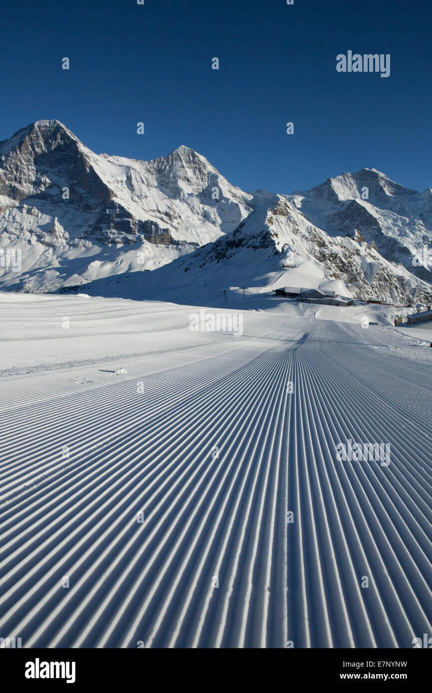 Ski, ski slope, Männlichen, mountain, mountains, ski, skiing, Carving, winter, winter sports, canton Bern, Bernese Alps, Bernese Stock Photo