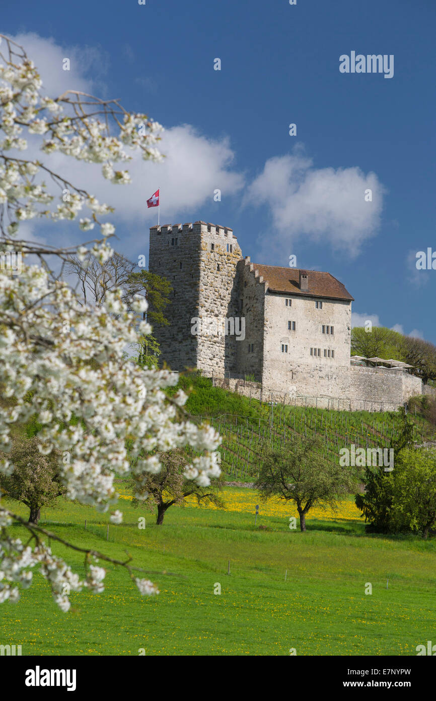 Habsburg castle hires stock photography and images Alamy