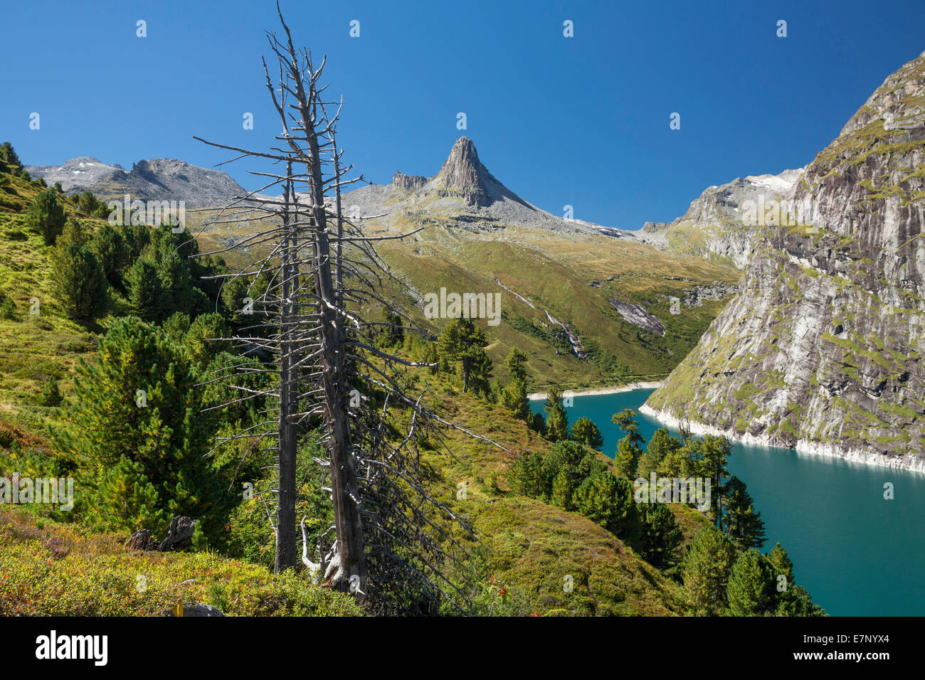 Vals valley, GR, Graubünden, Grisons, Zervreilahorn, lake Zervreila, tree, trees, mountain, mountains, lake, lakes, canton, GR, Stock Photo