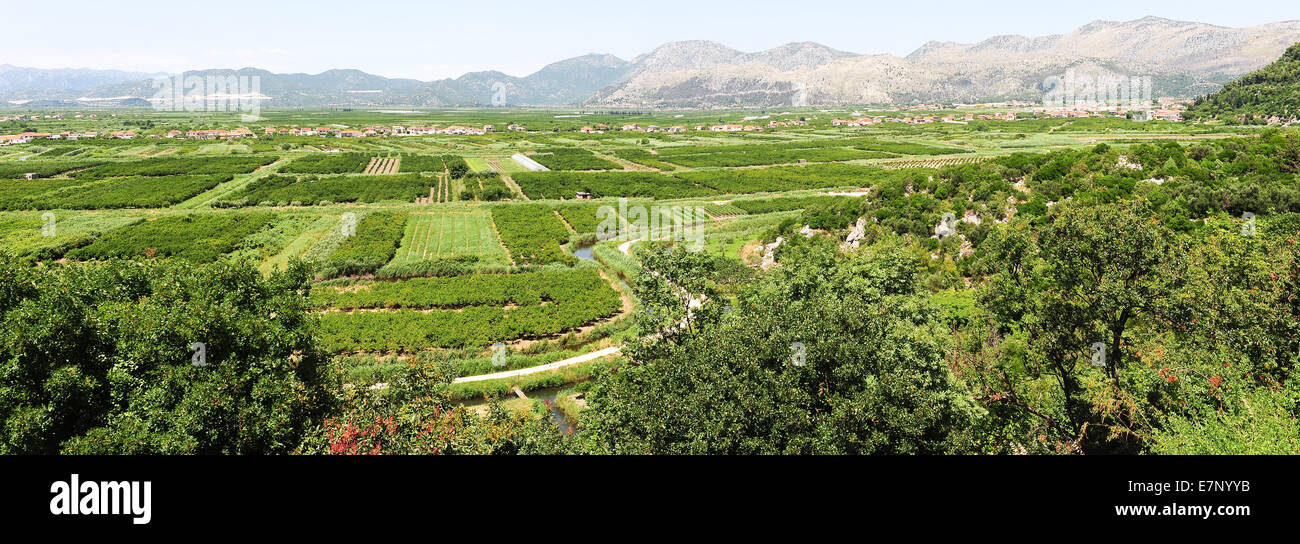 agriculture, Croatia, Balkans, Europe, cultivation, fruits, green, hills, irrigation, mountains, neretvi, panoramic, river, scen Stock Photo