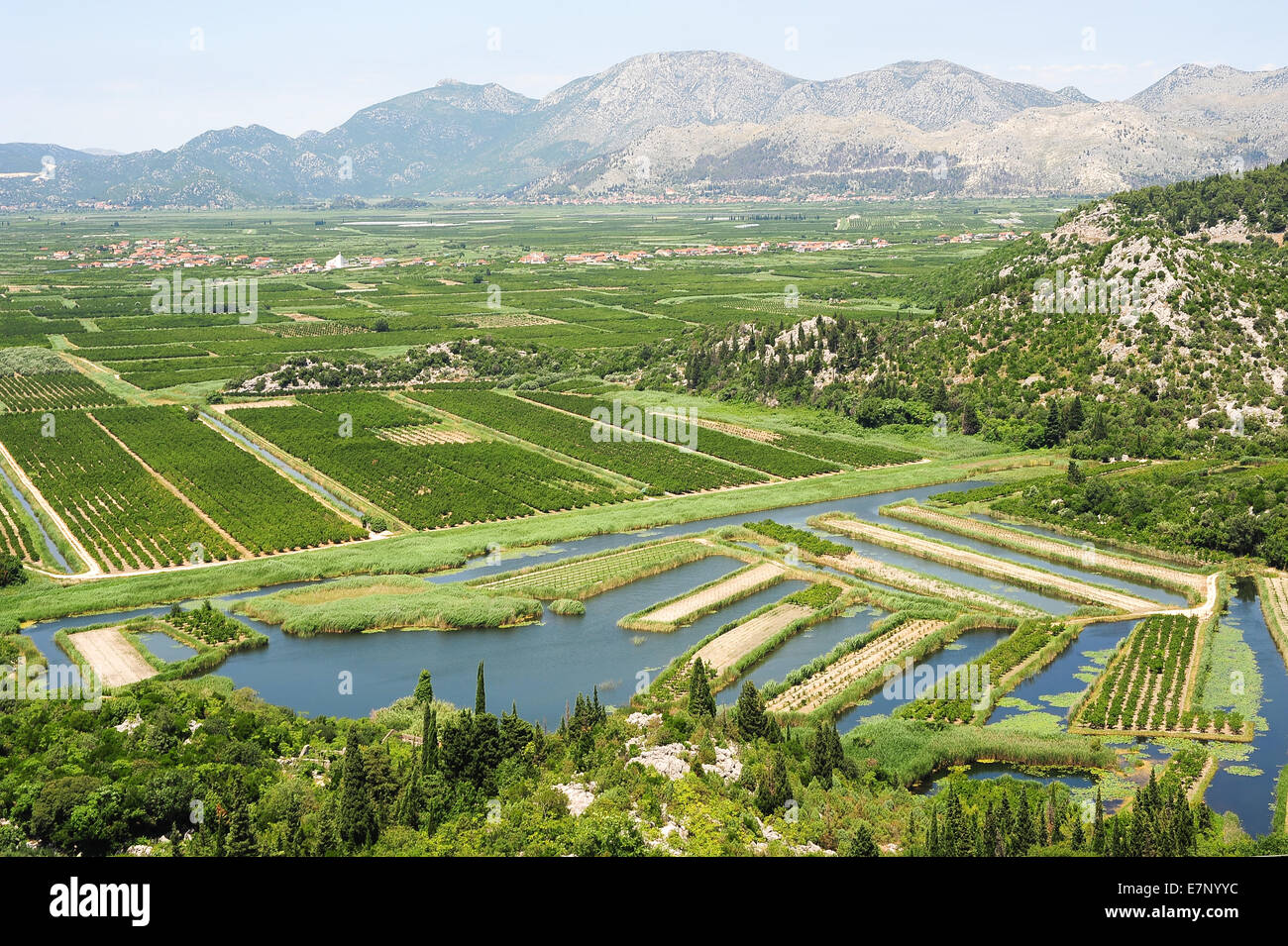 agriculture, Croatia, Balkans, Europe, cultivation, fruits, green, hills, irrigation, mountains, neretvi, river, scenery, landsc Stock Photo