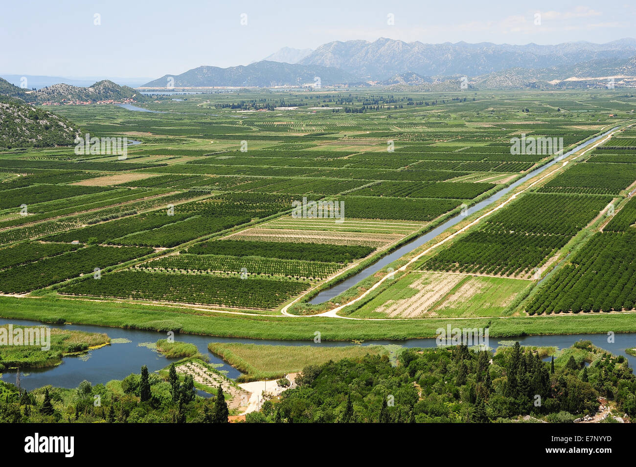 agriculture, Croatia, Balkans, Europe, cultivation, fruits, green, hills, irrigation, mountains, neretvi, river, scenery, landsc Stock Photo