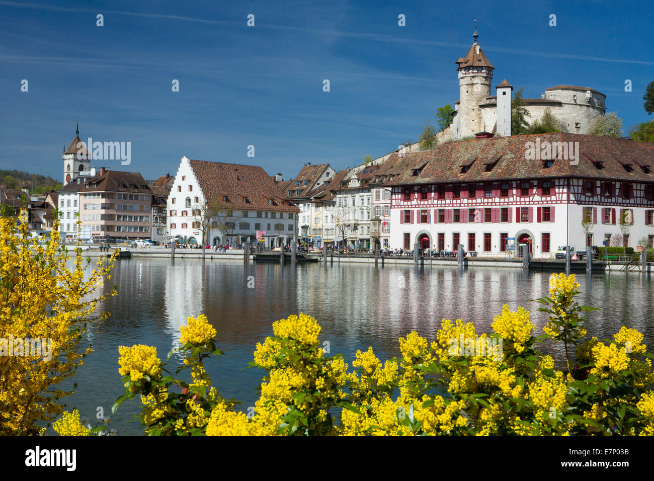 Munot, Schaffhausen, Rhine, spring, town, city, canton, SH, castle, flower, flowers, Switzerland, Europe, Stock Photo