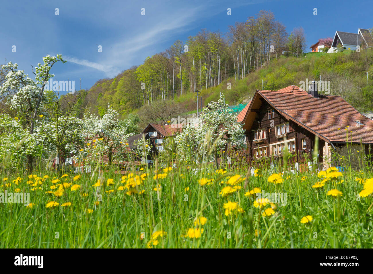 Lutzenberg, Wienacht Tobel, village, canton, Appenzell, Ausserrhoden, spring, Switzerland, Europe, Stock Photo