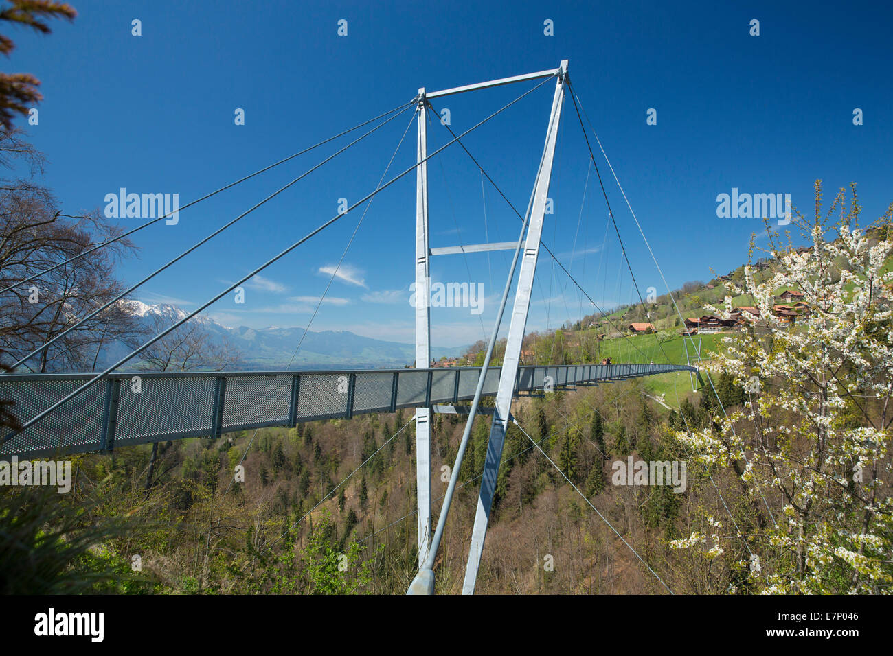Suspension bridge, Sigriswil, spring, canton Bern, bridge, footpath, Switzerland, Europe, Stock Photo