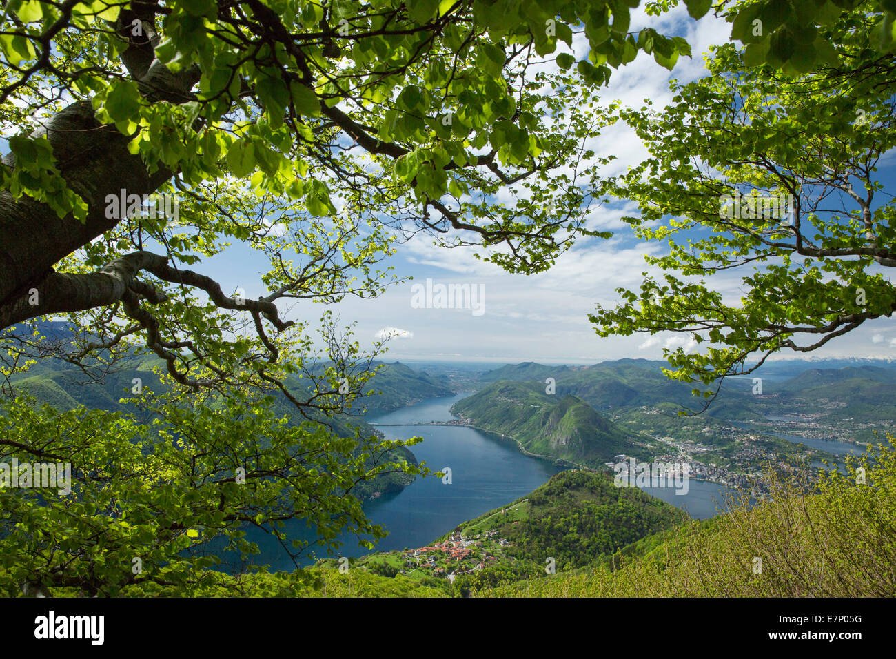 Lake Lugano, look, Monte Boglia, canton, Ticino, Southern Switzerland, lake, lakes, Lugano, Bre, Switzerland, Europe, Stock Photo