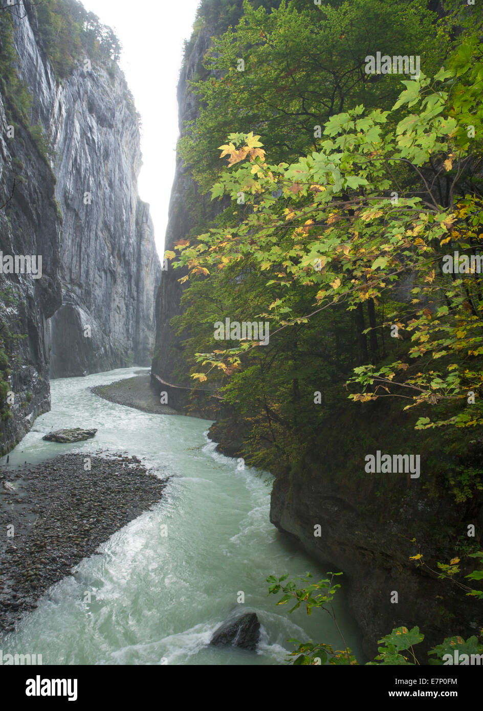 Aare, Aareschlucht, canyon, Meiringen, canton Bern, Bernese Oberland, autumn, nature, river, flow, body of water, water, gulch, Stock Photo