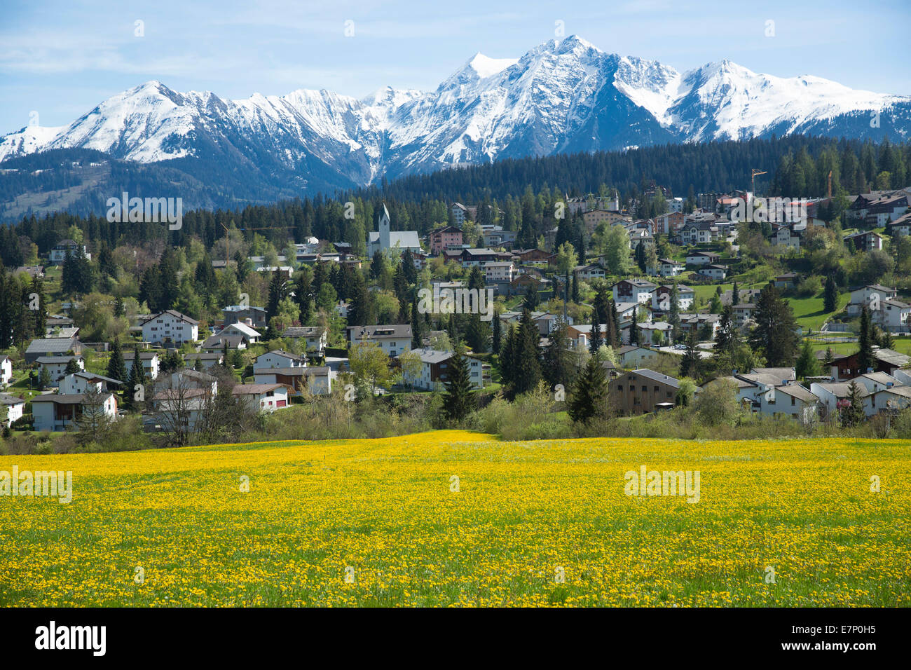 Surselva, Flims, GR, canton, Graubünden, Grisons, spring, village, Switzerland, Europe, Stock Photo