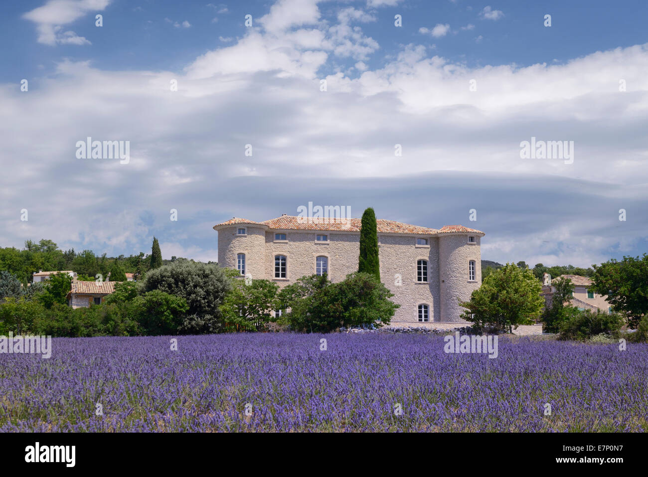 Europe, France, Provence-Alpes-Côte d'Azur, Provence, Lioux, Vaucluse, lavender Stock Photo