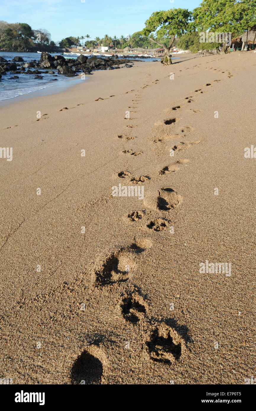 beach, coast, colour, colour, el Salvador, foot, footprint, footprints, footstep, holiday, hot, image, imprint, landscape, leisu Stock Photo